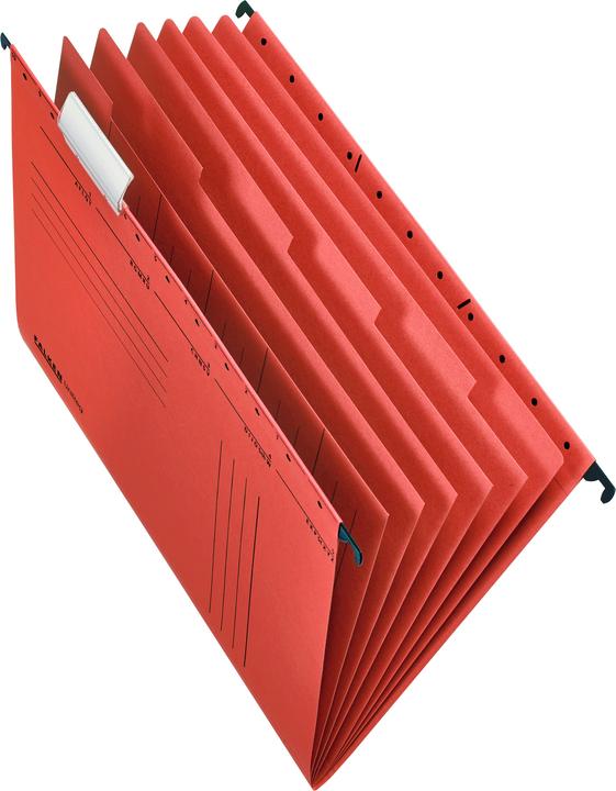 Immagine prodotto Falken UniReg (A4, 1x)