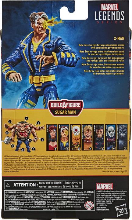 Image du produit Hasbro Marvel Legends Series X- Man Nate Grey