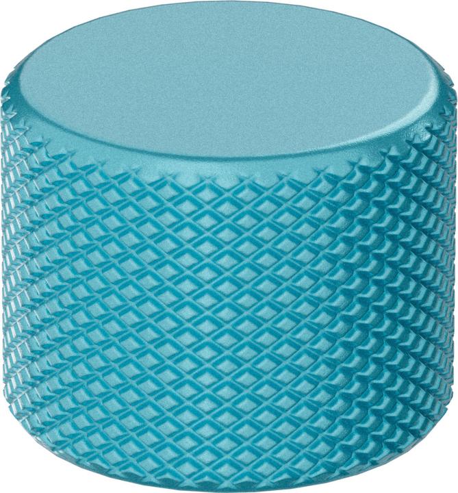 Immagine prodotto Glorious GMMK 3 Rotary Knob, Arctic Blue