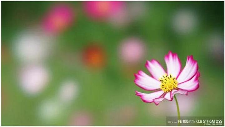 Produktbild Sony FE 100mm f/2.8 STF GM OSS - (EU) (Sony E, Vollformat)