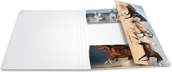 Image du produit HERMA Porte-documents A4 Motif (A4, 1 x)