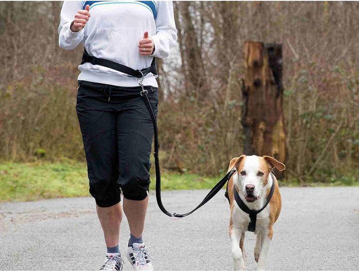 Produktbild Trixie Joggingleine Bauchgurt (M, Hund, Jogging)