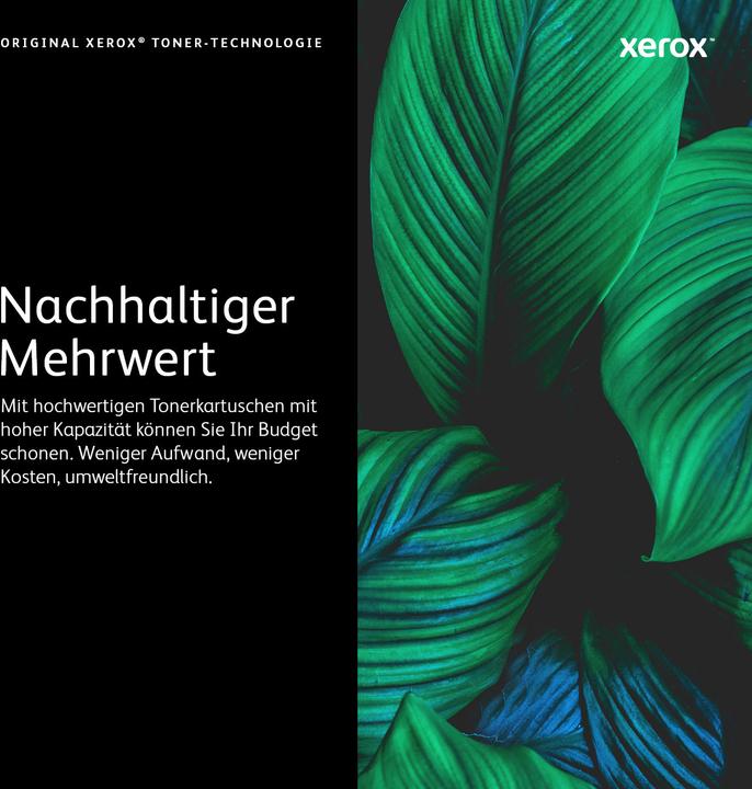 Actual product image Xerox 108R01482 (M)