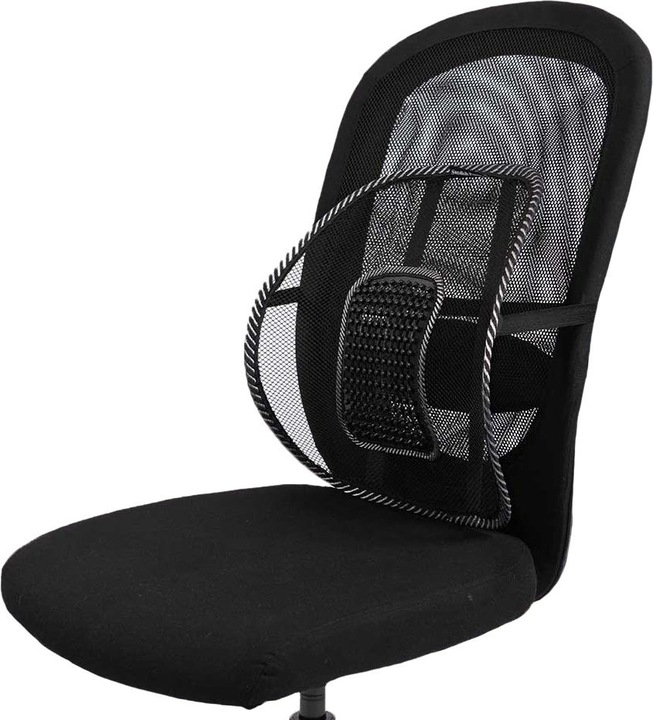 Immagine prodotto Swedish Posture Supporto per la schiena