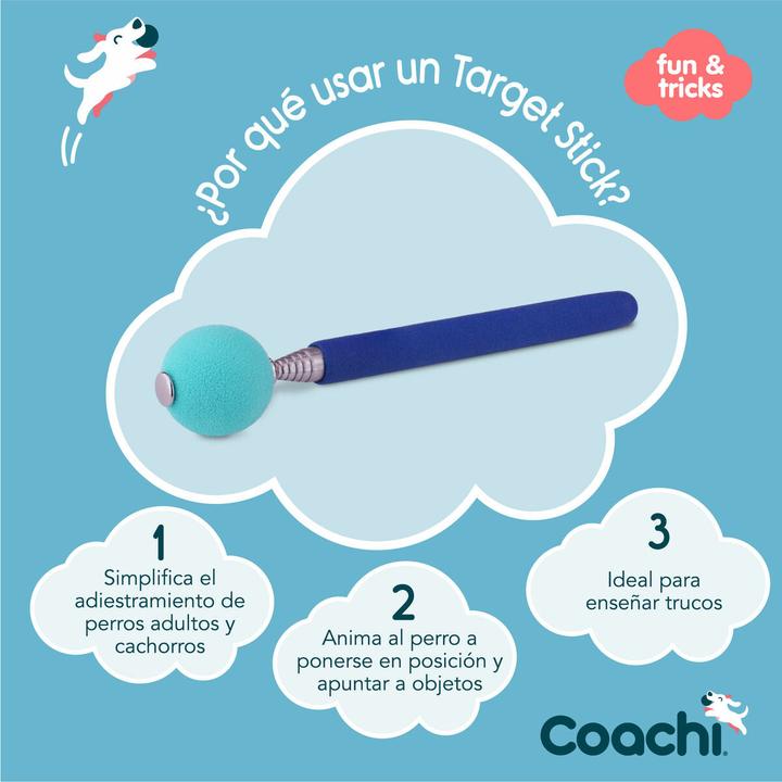 Produktbild Coachi Target Stick (Agility)