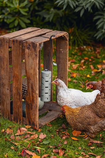 Actual product image Beeztees Feeding Station Chickens Snack Roller, Grey