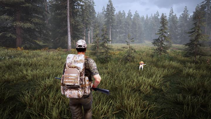 Immagine prodotto Bigben Hunting Simulator 2 (PS4)