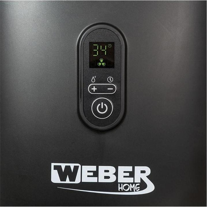 Image du produit Weber Home Machine à glaçons en bloc EW15