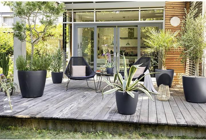 Image du produit Lechuza Classico Color (42 x 39.50 cm)