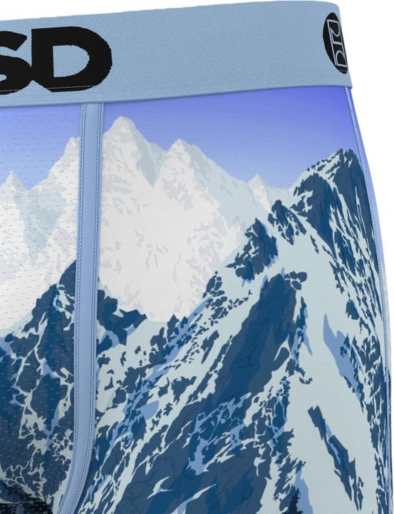 Immagine prodotto PSD Boxershorts ALPINE CHILL Unterhosen (L)