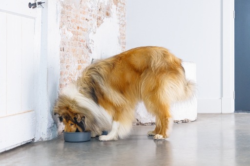 Actual product image Designed by Lotte Feribo (1.90 l)