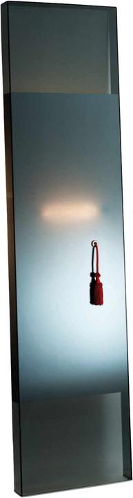 Image du produit Glas Italia Diva Miroir (50 x 200 cm)