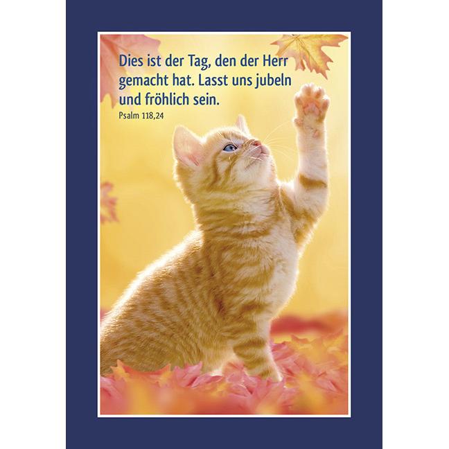 Thumbnail - Kawohl, Sticker, Kleine Quelle - Tierisch fit!, Aufklebe