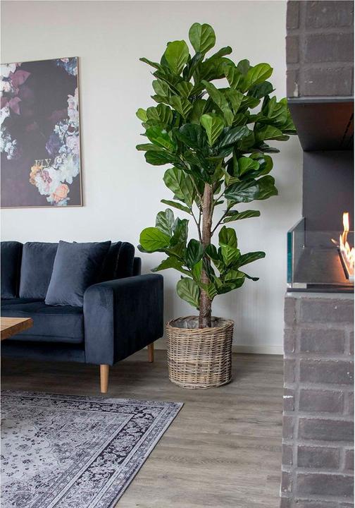 Actual product image House Nordic Fiddle (190 cm)