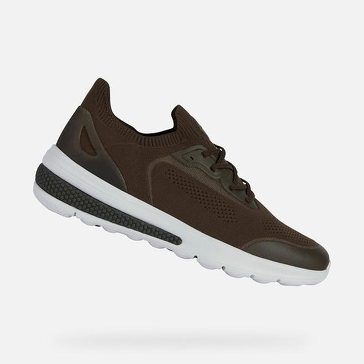 Actual product image Geox Spherica (43)