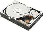 Produktbild IBM 750GB S-ATA Disk 7.2k Hot Swap (0.75 TB, 3.5")