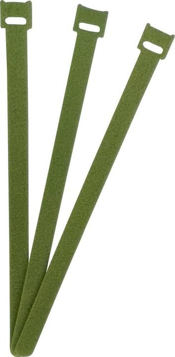 Vert