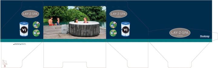 Actual product image Bestway Filter cartridge VI