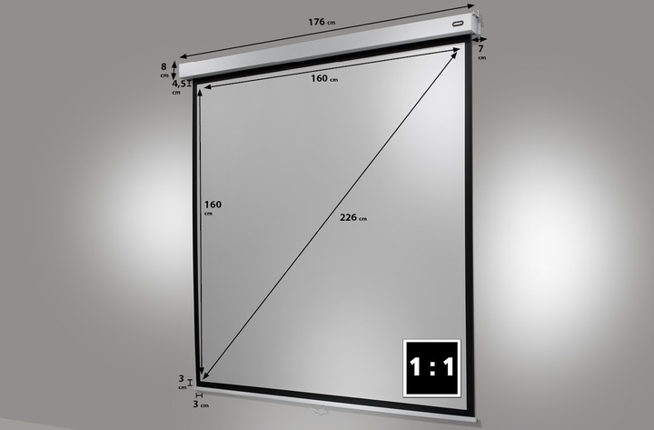 Image du produit Celexon Professionnel Plus (84", 1:1)
