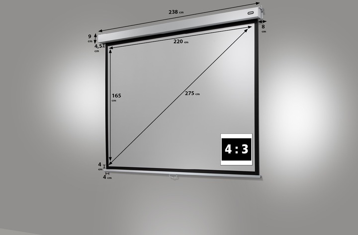 Actual product image Celexon Professional Plus (108", 4:3)