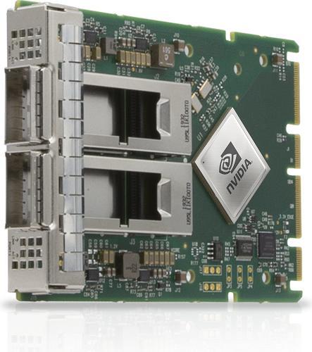NVIDIA ConnectX-6 Dx EN adapter card 100GbE Du (PCI Express 4.0 x16)