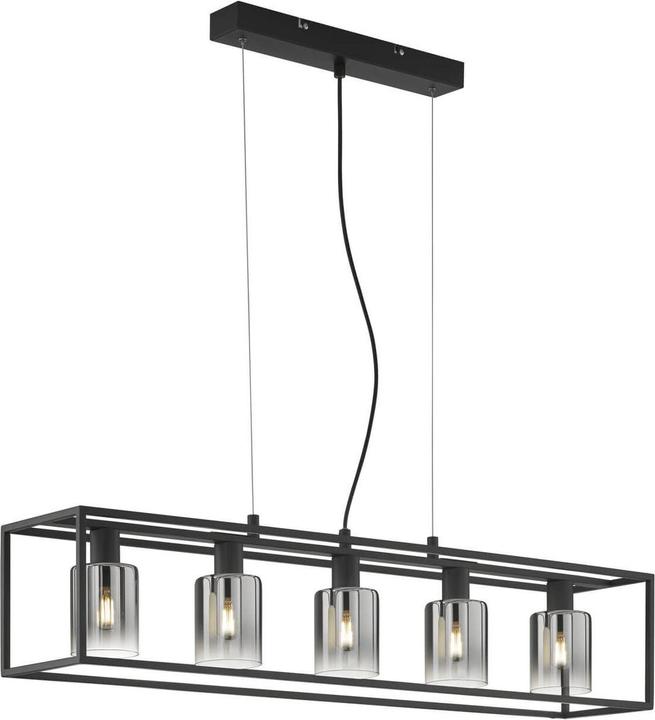 Image du produit Fischer & Honsel Honsel Suspension Iska longueur 95 cm - noir sable/verre fumé (60908) (E14)
