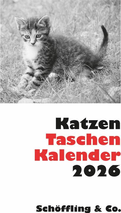 Produktbild Katzen Taschenkalender 2026 (1 Woche / 1 Seite)