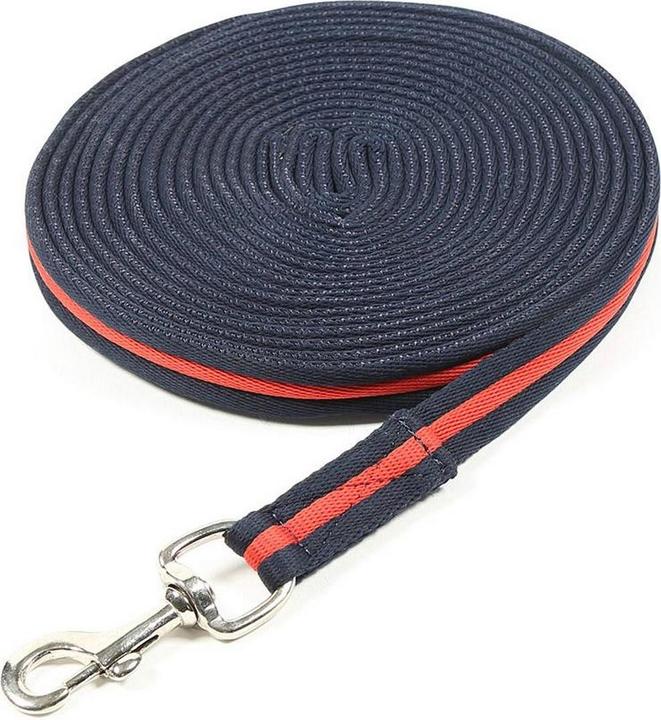 Longe toile d'araignée