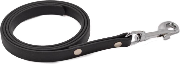 Actual product image Dogsmart BioThane leash (Dog, General)