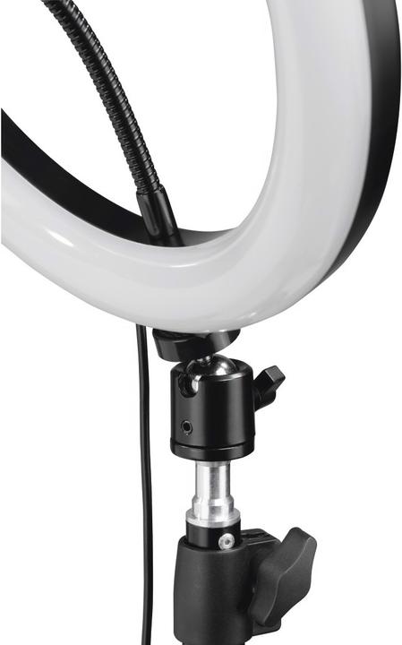 Actual product image Hama SpotLight Steady 120 (Ring light)