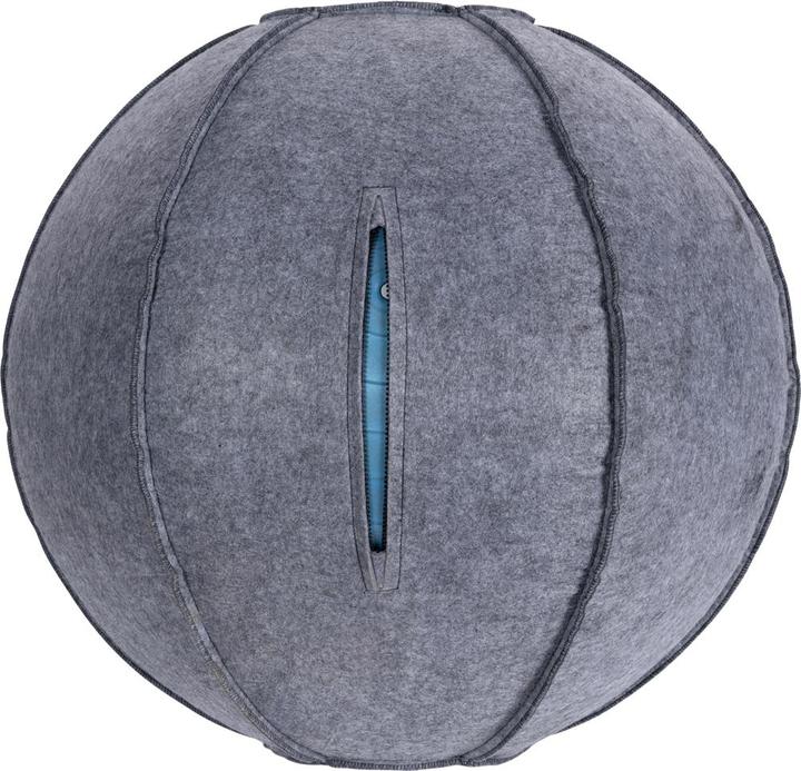 Actual product image Ergovia Cover for gymnastics ball (65 cm)