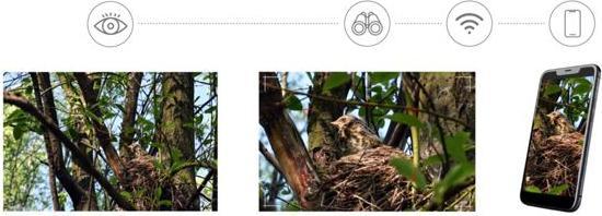 Image du produit Levenhuk Kelvin Snap ED 8x25 Digital Photomonocular (8x, 25 mm)