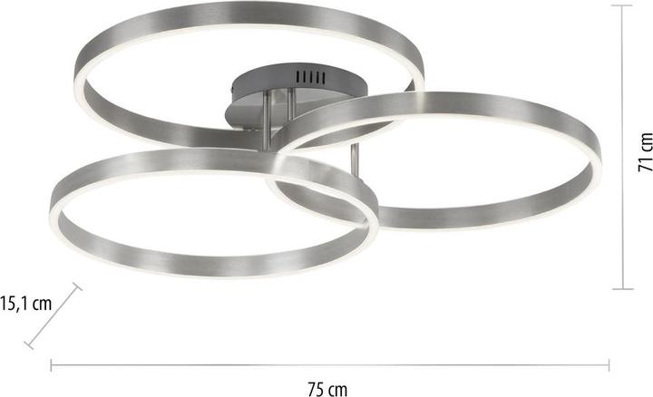 Produktbild Paul Neuhaus Paan (3999 lm)