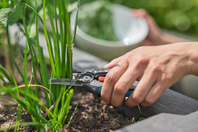 Actual product image Gardena GripCut