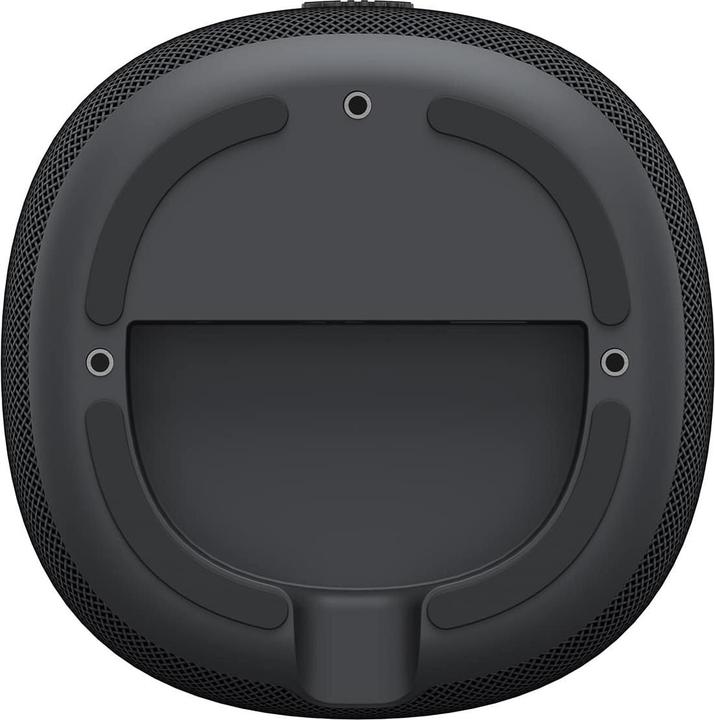 Actual product image WiiM Sound lite black schwarz (Airplay, Bluetooth, Chromecast, Wi-Fi)
