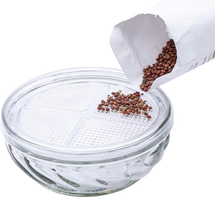 Immagine prodotto Siena Garden Germoglio di vetro