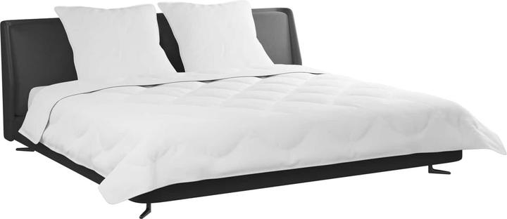 Produktbild vidaXL Mikrofaser-Bettdecke (Daune, Mikrofaser, Polyester, 200 x 220 cm)