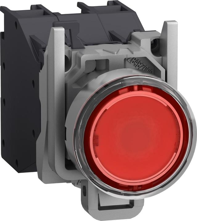 Actual product image Schneider Electric XB4BP483BM5GEX
