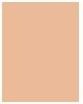 Image du produit Dermacol Couverture de maquillage (N° 209)