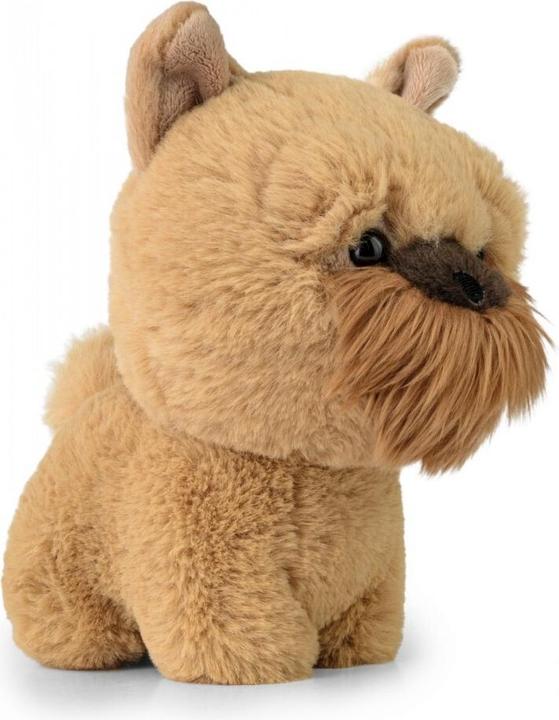Actual product image Daff Teddy Pets Maskottchen Griffon Bruxellois