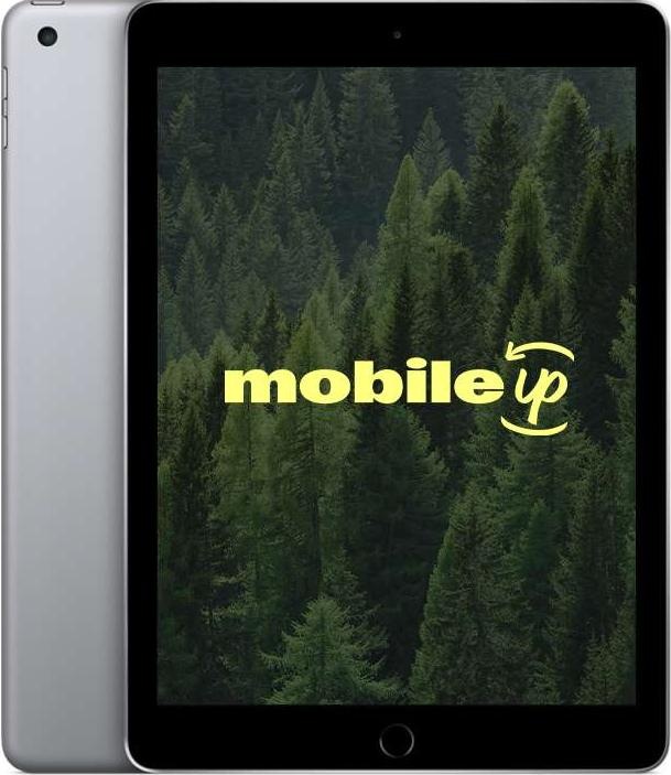 mobileup Apple iPad 2017 (5a generazione) (9.70", 32 GB, Space grey, A / Come nuovo)
