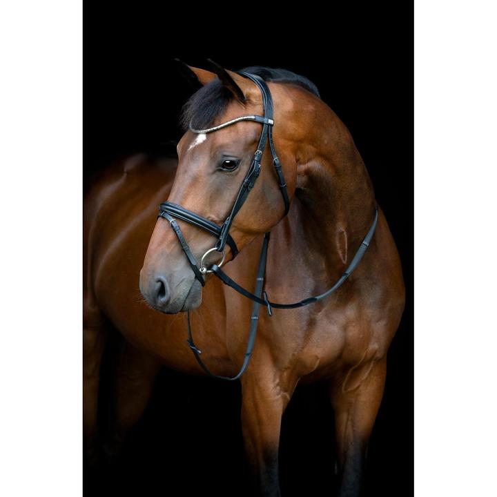 Actual product image Horse Guard Emi 26.1