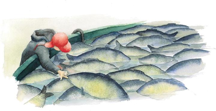 Produktbild Der Weihnachtskarpfen (Deutsch, Rita Törnqvist-Verschuur, 2016)