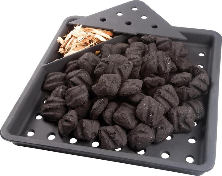 Actual product image Napoleon Charcoal insert