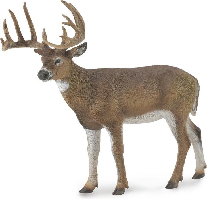 Image du produit Collecta Cerf de Weisswedel