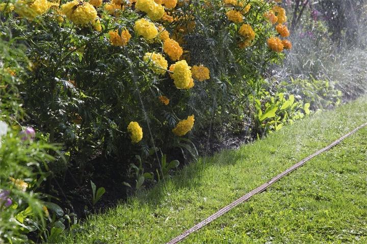 Produktbild Gardena Regner 1998-20