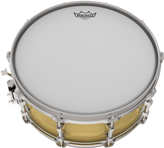 Actual product image Remo Ambassador (Drum, Tom, Snare)