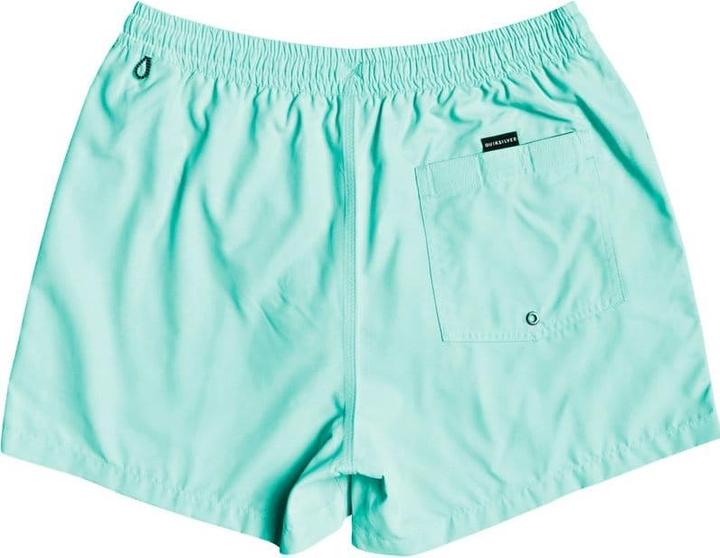 Image du produit Quiksilver Everyday Volleys (M)