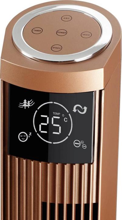 Actual product image Biswind Tower fan (50 dB)