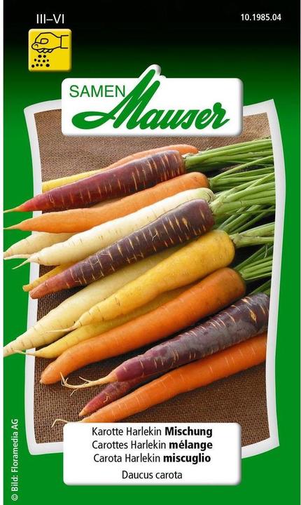 Actual product image Samen Mauser Carrot harlequin mixture (Vegetable seeds)